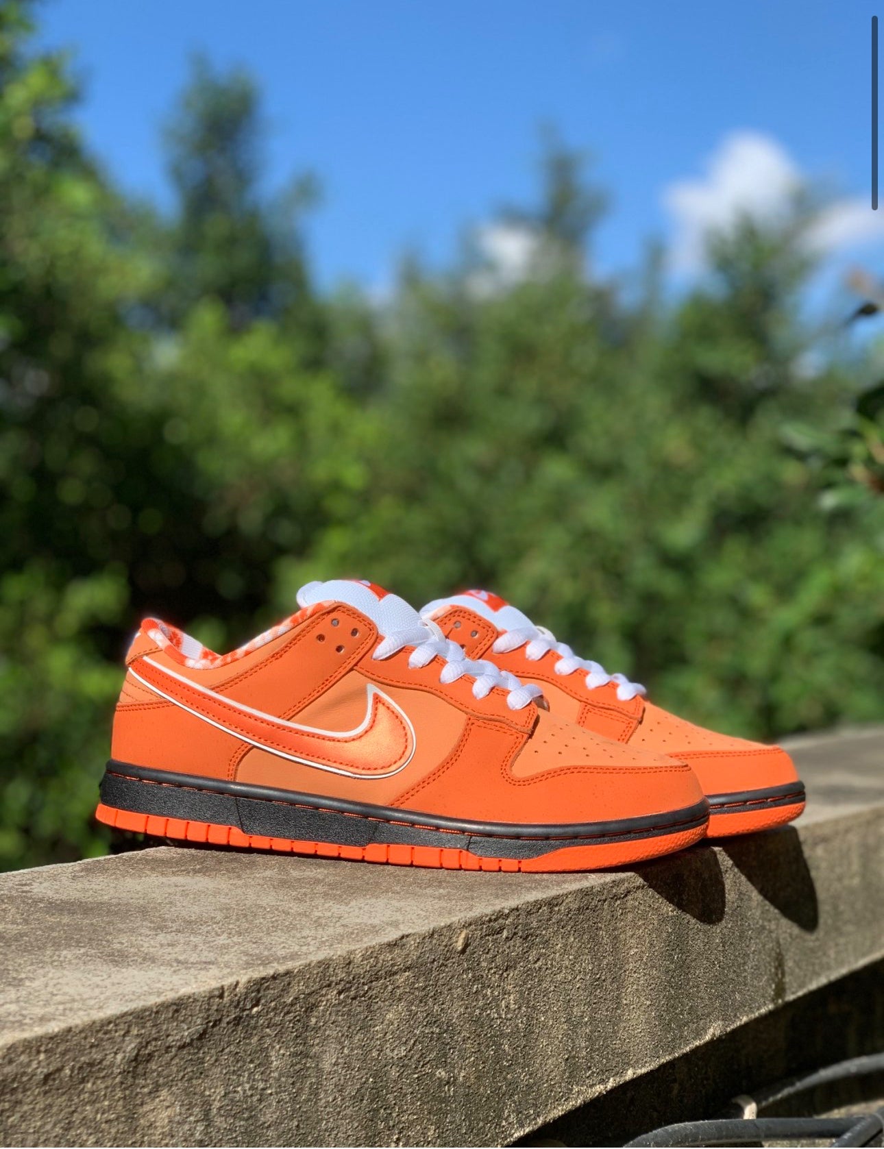 Nike SB Dunk