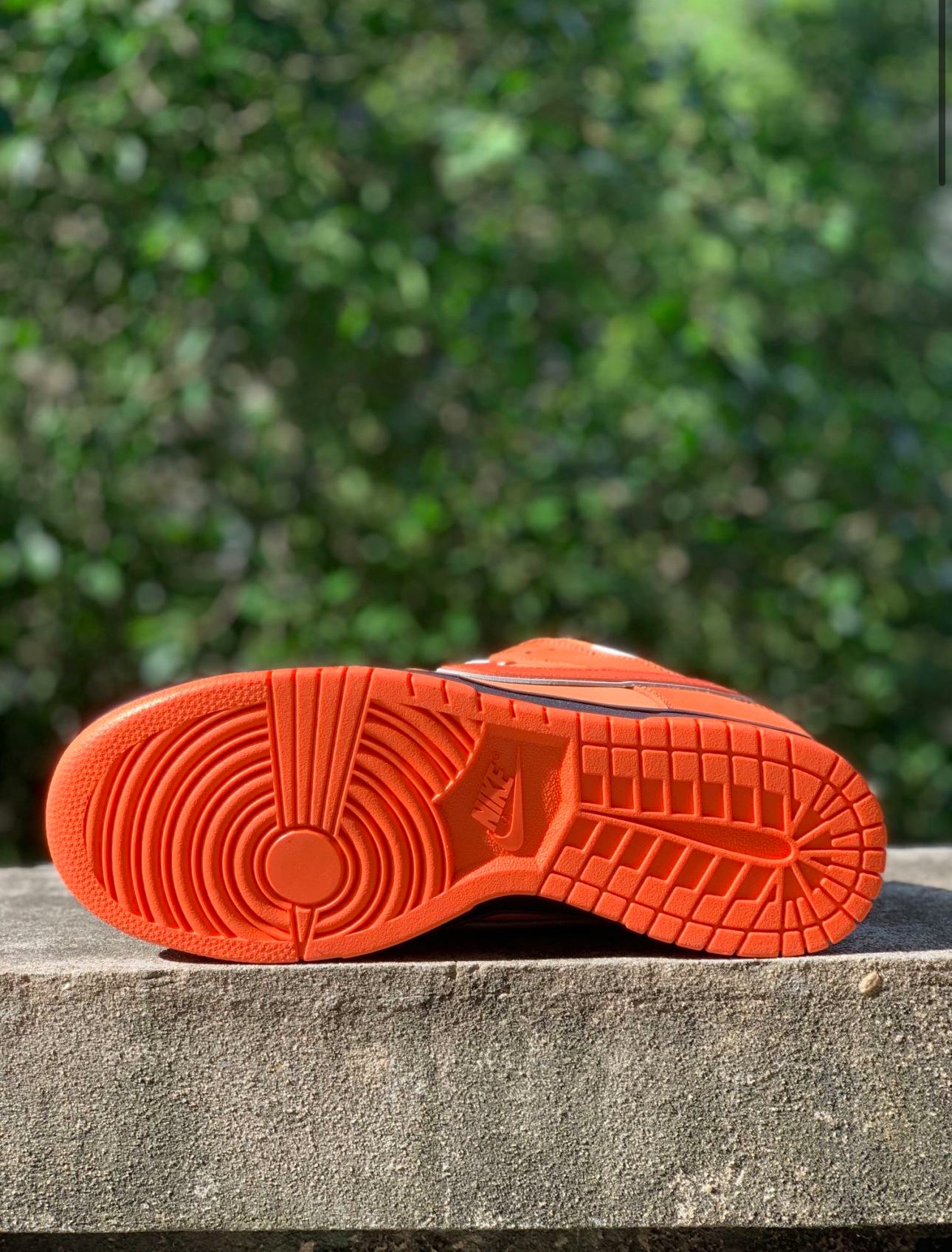 Nike SB Dunk