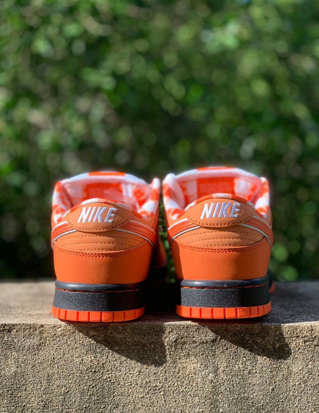 Nike SB Dunk