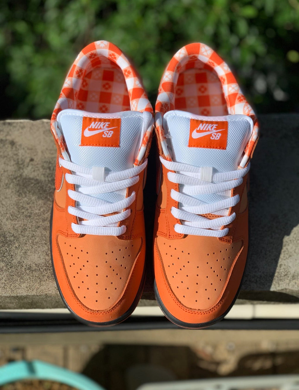 Nike SB Dunk