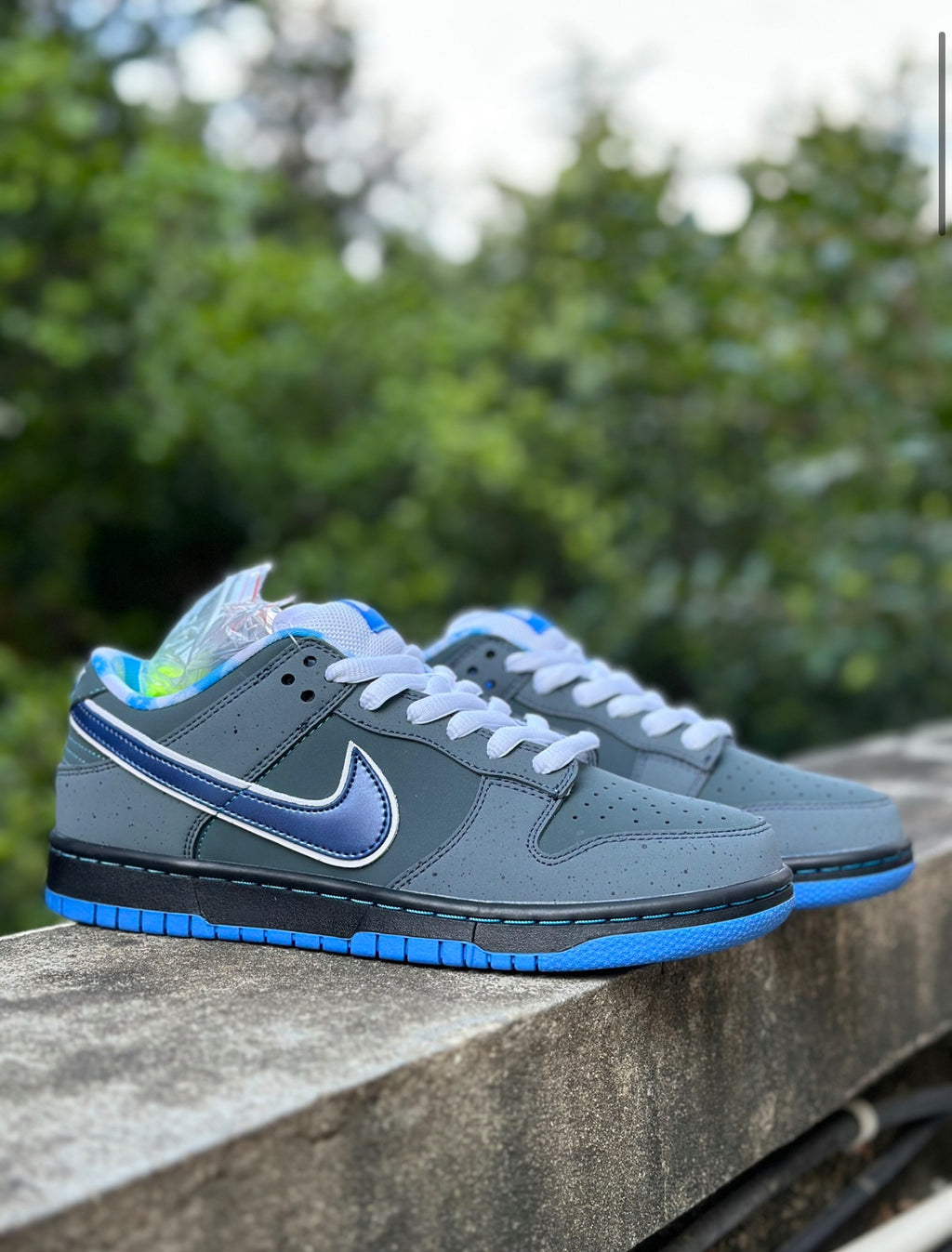 Nike SB Dunk