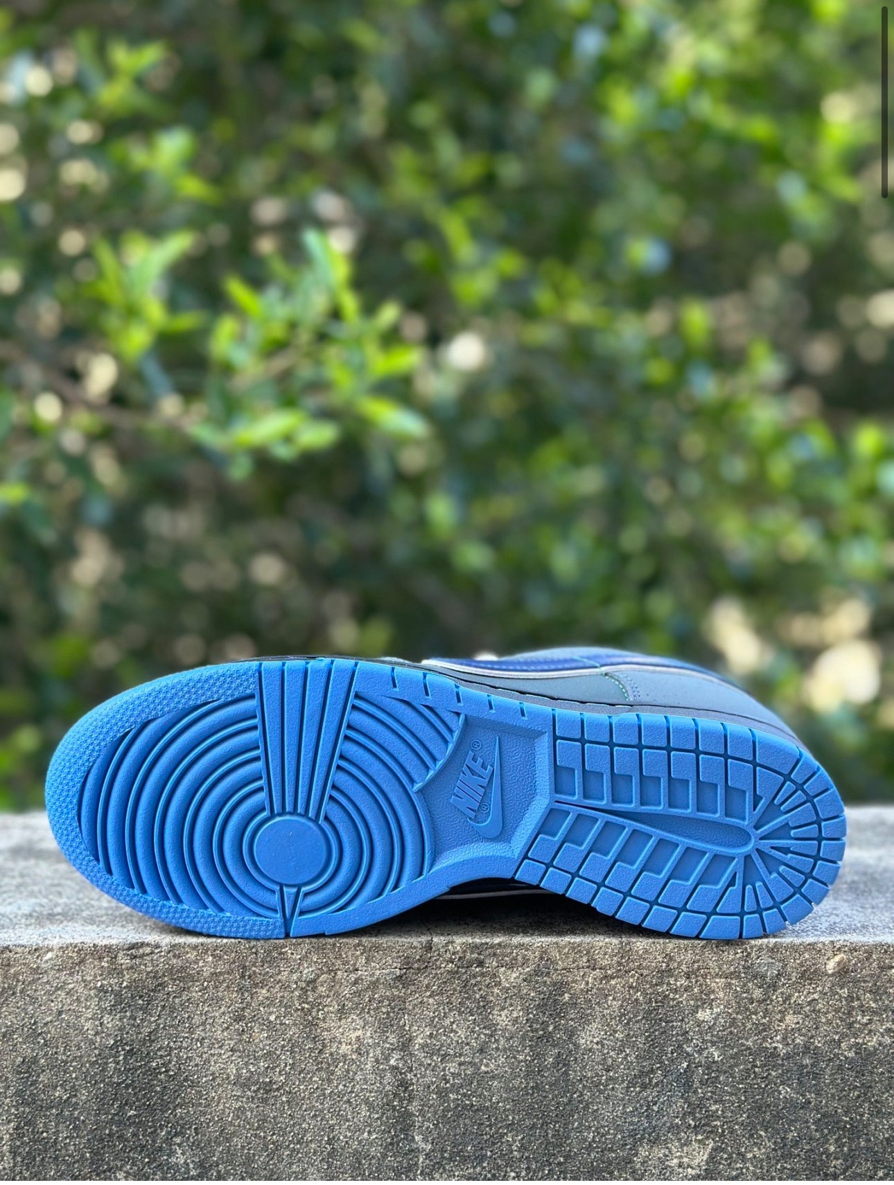 Nike SB Dunk
