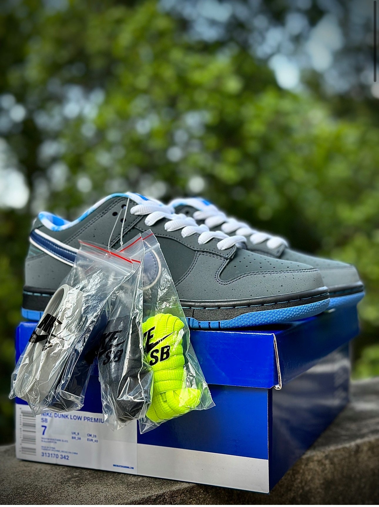Nike SB Dunk
