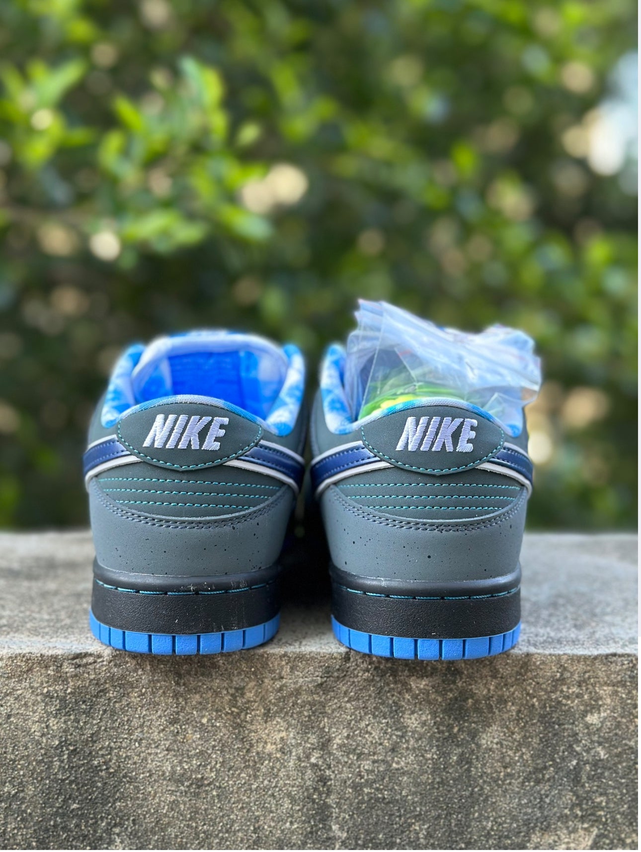 Nike SB Dunk