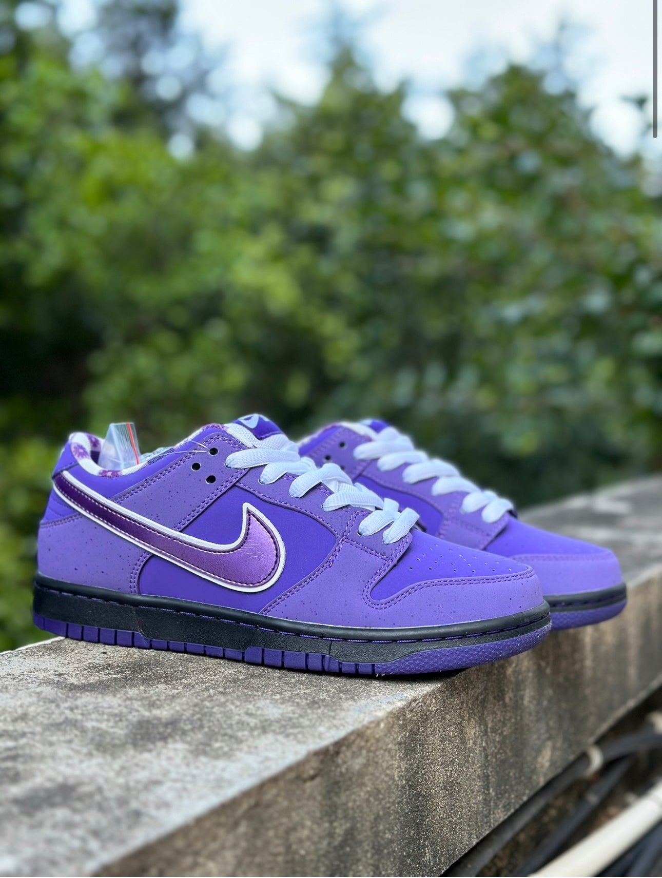 Nike SB Dunk