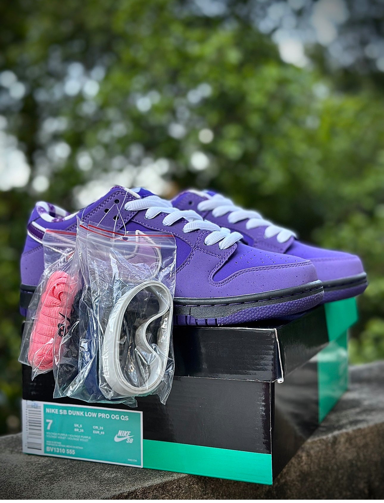 Nike SB Dunk