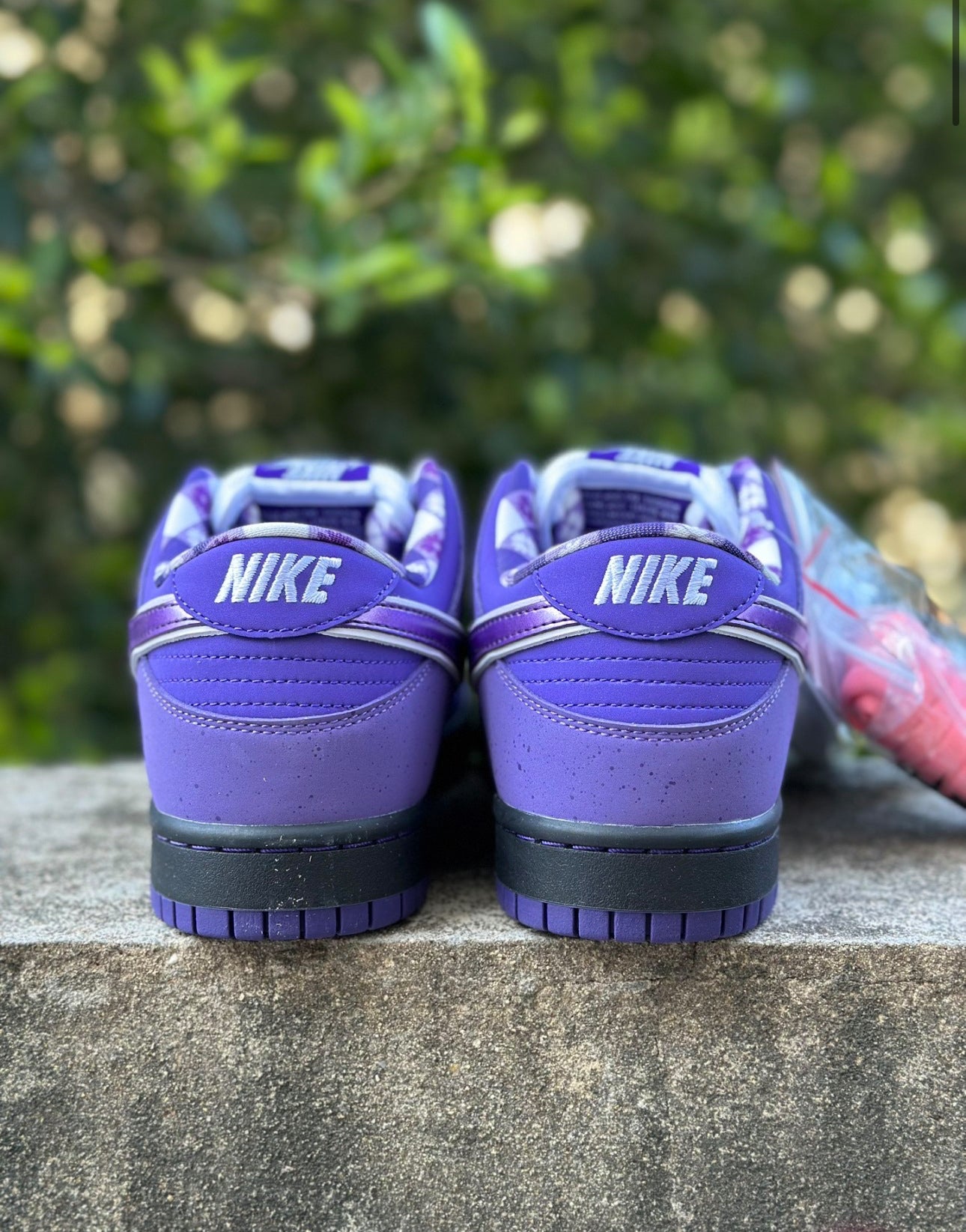 Nike SB Dunk