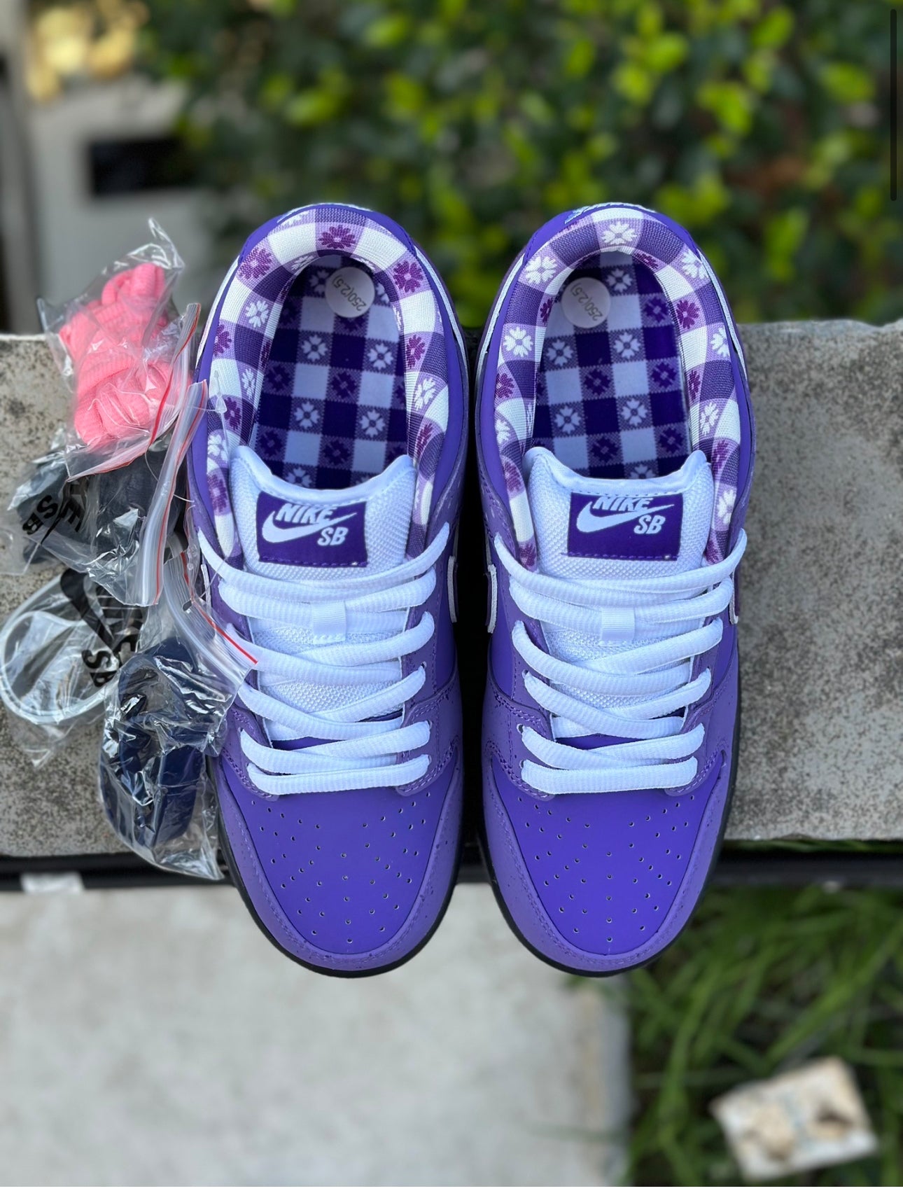 Nike SB Dunk