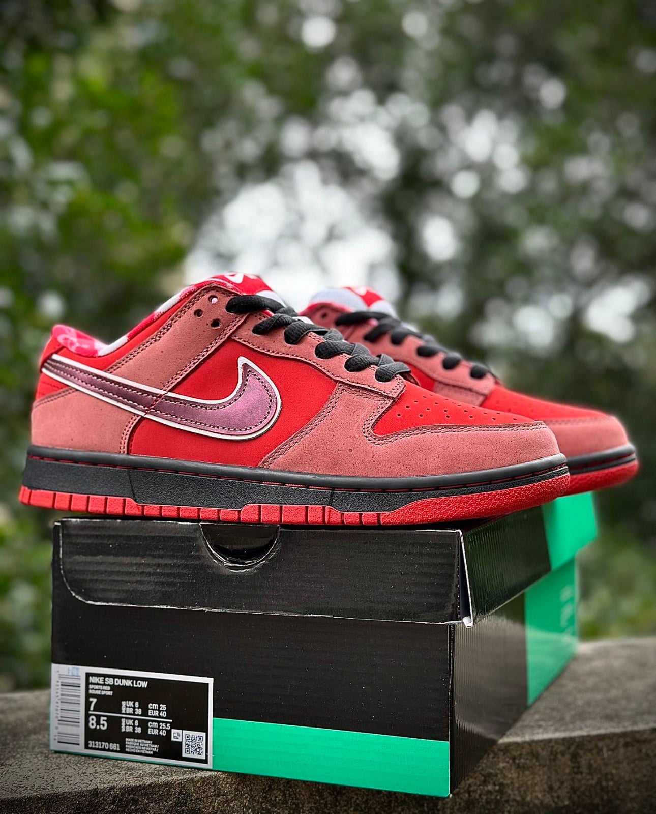 Nike SB Dunk