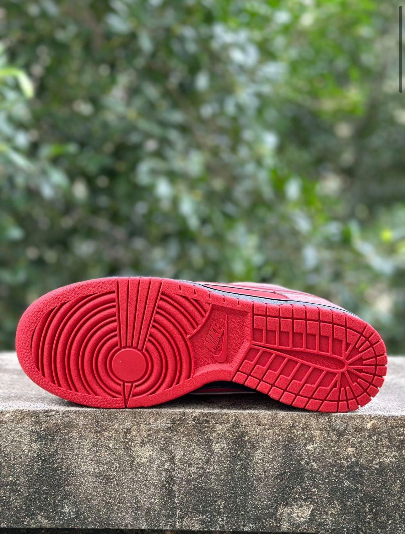 Nike SB Dunk