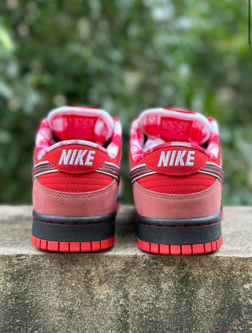 Nike SB Dunk