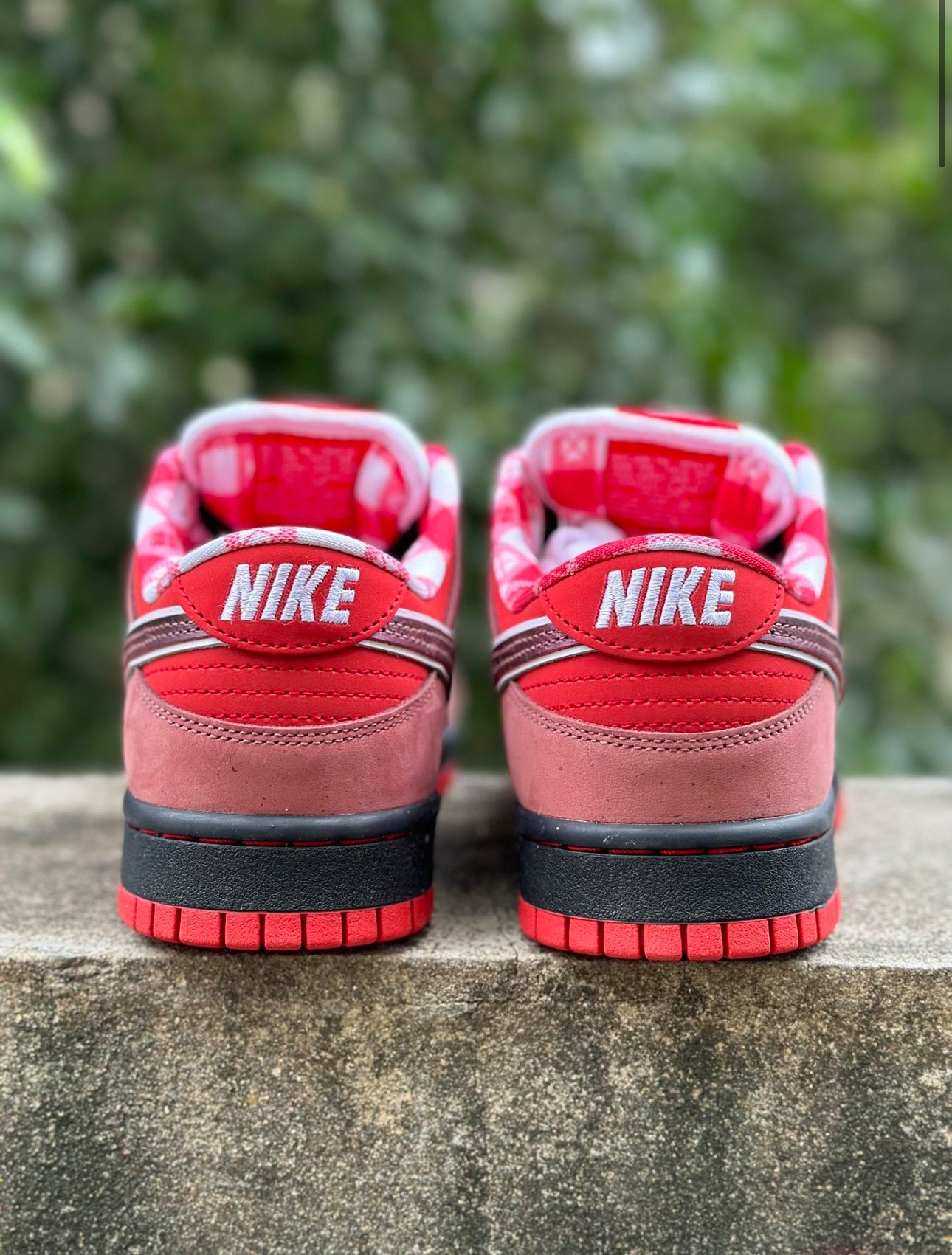 Nike SB Dunk