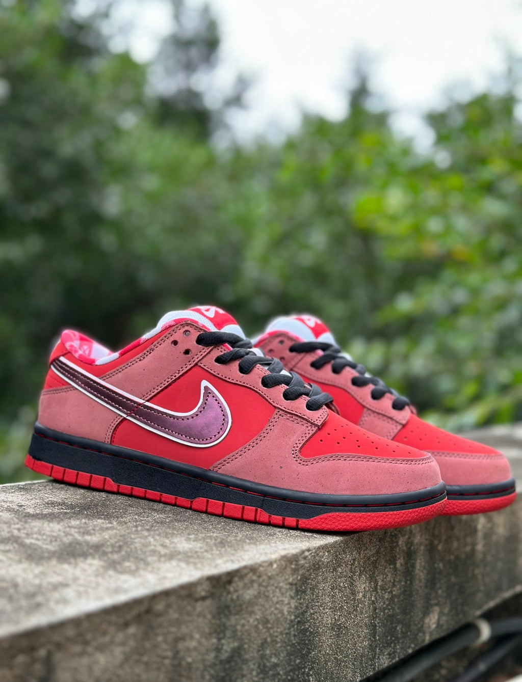Nike SB Dunk