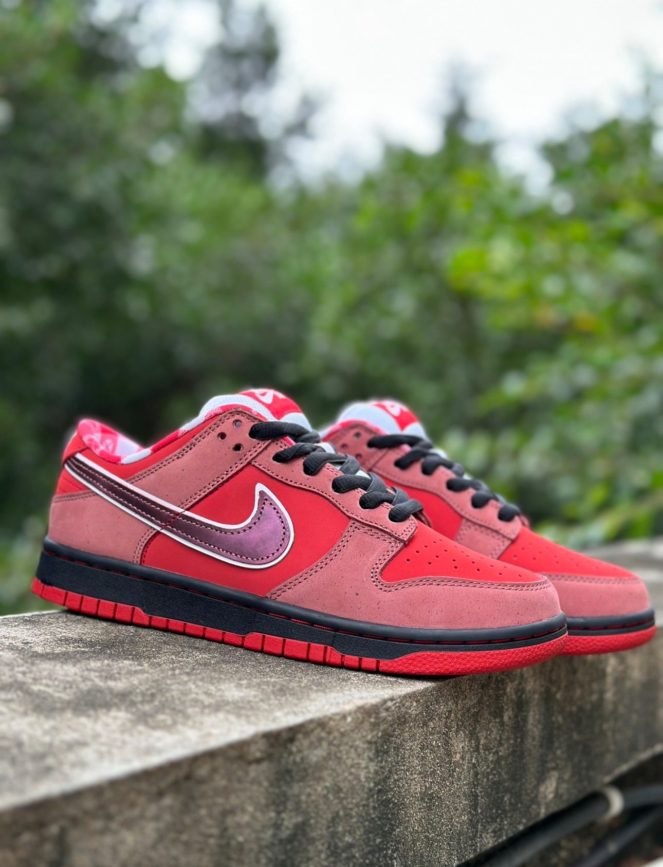 Nike SB Dunk